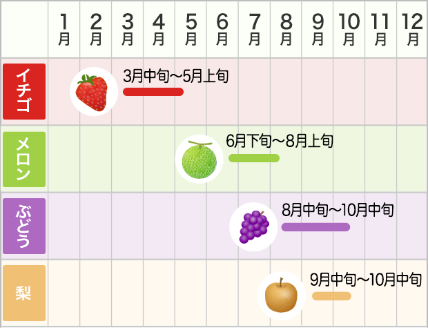 くだもの狩りお楽しみスケジュール